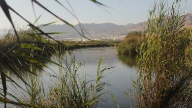 Photo of El Río Adra y la Albufera, lugares “de importancia comunitaria de la región biogeográfica mediterránea”