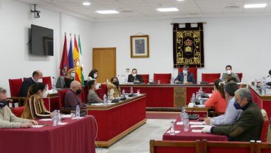 Photo of Aprobadas las bases reguladoras para la convocatoria de subvenciones para autónomos y microempresas de Adra