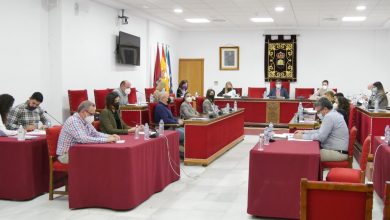 Photo of Aprobado de forma definitiva el Presupuesto Municipal de Adra para este 2021