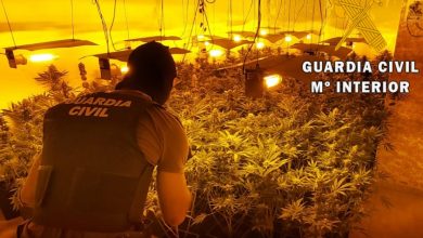 Photo of La Guardia Civil localiza una plantación indoor con 548 plantas de marihuana y neutraliza 29 enganches ilegales
