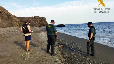 Photo of La Guardia Civil presta seguridad y apoyo a los técnicos de Equinac en dos varamientos de delfines en la costa de Adra