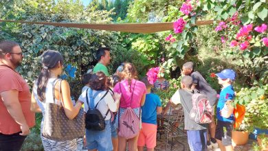Photo of El Ayuntamiento de Adra despide el curso de la iniciativa Familia+ con una visita al jardín botánico andalusí La Almunya del Sur