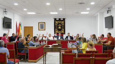 Photo of Unanimidad en el Pleno de la Corporación Municipal del Ayuntamiento de Adra para visibilizar la salud mental&nbsp