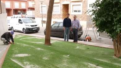 Photo of El Ayuntamiento de Adra embellece los parterres con la instalación de césped artificial