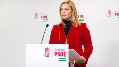 Photo of El PSOE de Adra quiere subir un 50% el IBI a propietarios que no alquilen sus viviendas vacías