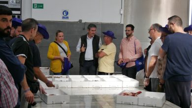 Photo of Manuel Cortés destaca el “potencial” del sector pesquero que “vamos a seguir apoyando”