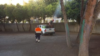Photo of Adra previene a la oruga procesionaria con labores de fumigación en colegios y zonas urbanas