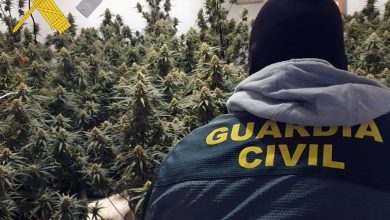 Photo of La Guardia Civil detiene ‘in fraganti’ a los dos responsables de un cultivo indoor de marihuana en un residencial de Adra