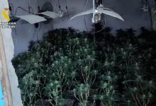 Photo of La Guardia Civil interviene más de 2.500 plantas de marihuana y desactiva enganches ilegales que causaron un incendio de un centro de transformación eléctrica
