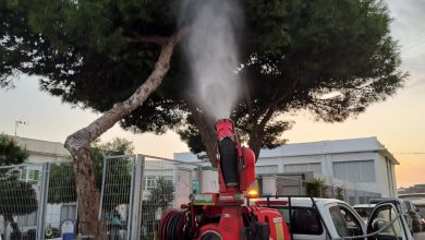 Photo of El Ayuntamiento de Adra previene a la oruga procesionaria con labores de fumigación en centros escolares