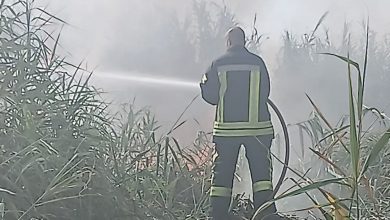 Photo of Los servicios de emergencia se movilizan contra el incendio en un solar de cañaveras junto al antiguo Hostal Zapata de Adra