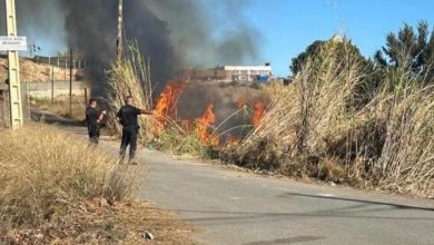Photo of Bomberos del Poniente e Infoca sofocan un incendio en una zona de cañaveral junto al polígono La Azucarera