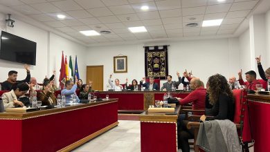 Photo of Medalla de la ciudad y Torre de Adra otorgadas por unanimidad a la Asociación de Comerciantes y Los Finos