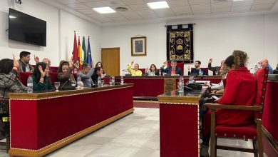 Photo of Adra solicita la declaración de Zona Gravemente Afectada por Emergencia tras los temporales de 2026