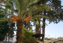 Photo of Adra refuerza el mantenimiento de jardines y zonas verdes