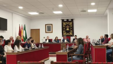 Photo of El Ayuntamiento de Adra pide pantallas acústicas en la A-7 a su paso por Guainos Bajos