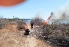 Photo of El incendio declarado junto al río Adra queda controlado tras varias horas de intensa intervención