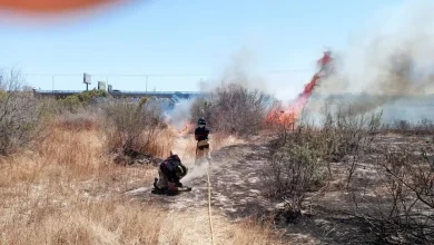Photo of El incendio declarado junto al río Adra queda controlado tras varias horas de intensa intervención