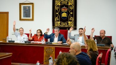 Photo of Adra reclama ayudas directas y bonificaciones fiscales para agricultores y pescadores